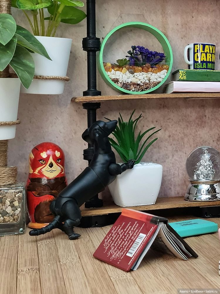 Сонечка, такса Анатолий и белка. Погоня за мочалкой (фото 3)