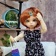 Сонечка, такса Анатолий и белка. Погоня за мочалкой.