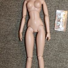 Тело Volks Excellent Base Model 26