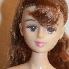 Голова винтажной подружки Дженни Лизы компании Такара