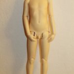 Подростковое тело Volks SD B-04 в одном блоке (SD10)