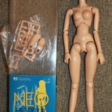 Тело Volks Base Model Excellent