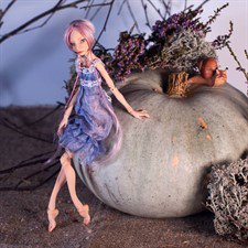 Предзаказ на кукол 20 см закрывается