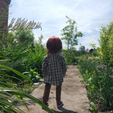 Приключения Марианны где-то в Омской области, или Стране Чудес