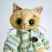 Котик которого зовут Нильс Сильвестрович