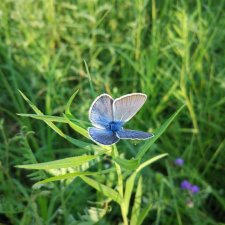 Это было летом