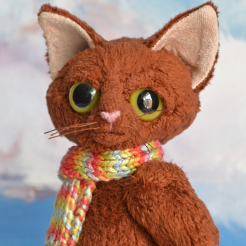 Какаовый котик