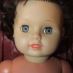 Черепашка или нет?