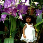 Прогулка по парку с этническими куколками Adora, Tonner, Oldenburg, Creedy