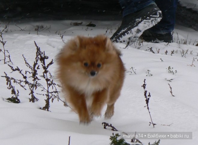 Моя кукла Катюша на даче, Effanbee | Бэйбики Моя кукла Катюша на даче, Effanbee (фото 2)