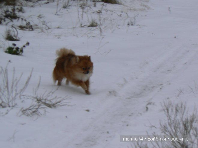 Моя кукла Катюша на даче, Effanbee | Бэйбики Моя кукла Катюша на даче, Effanbee