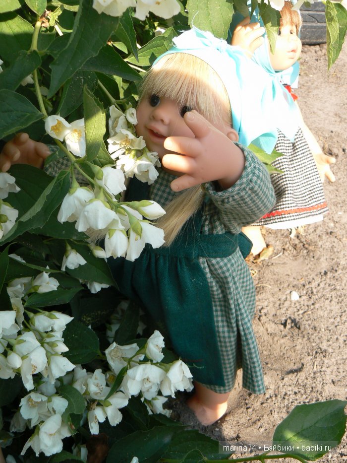 Дачный десант от Rosemarie Anna Muller (фото 6)