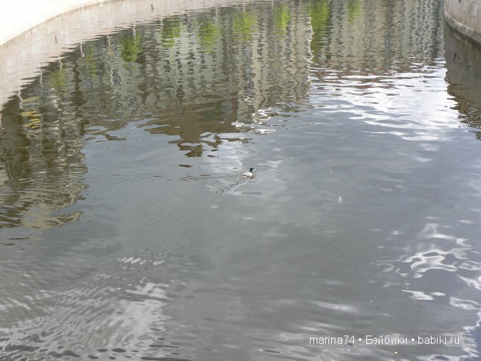 Моё открытие Санкт-Петербурга продолжается! Часть 5 (фото 5)