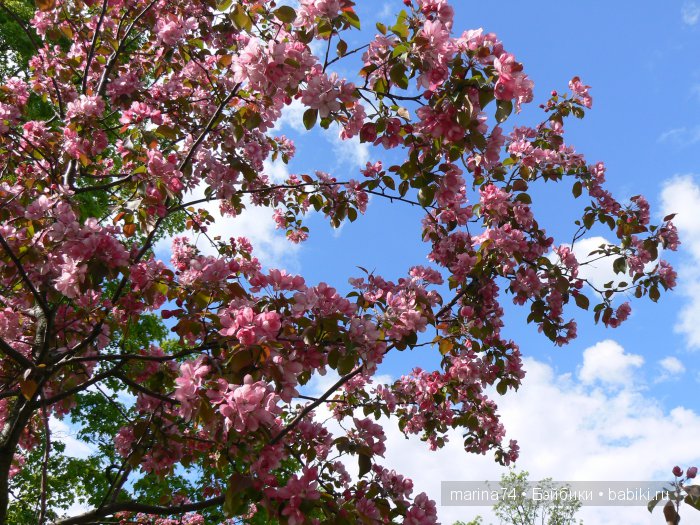 Моё открытие Санкт-Петербурга продолжается! Часть 5 (фото 9)