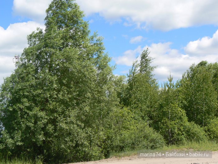 Путь домой — Куклы Rosemarie Anna Muller (Мюллер): Вихтели (Wichtel)