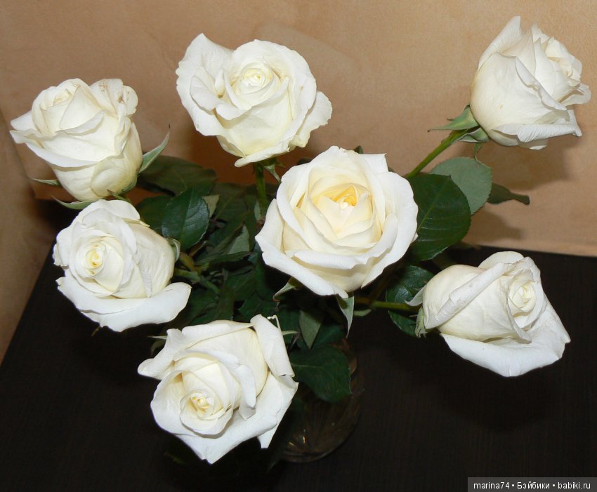 Вот и меня не миновала Kruseling-мания