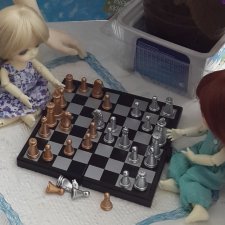 ... поиграем в шахматы?