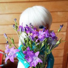 на дачу в любую погоду