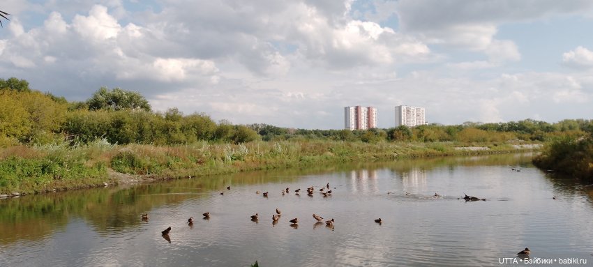Андрюхин понедельник — Игровые куклы разных производителей (Разное): редкие бренды (фото 5)