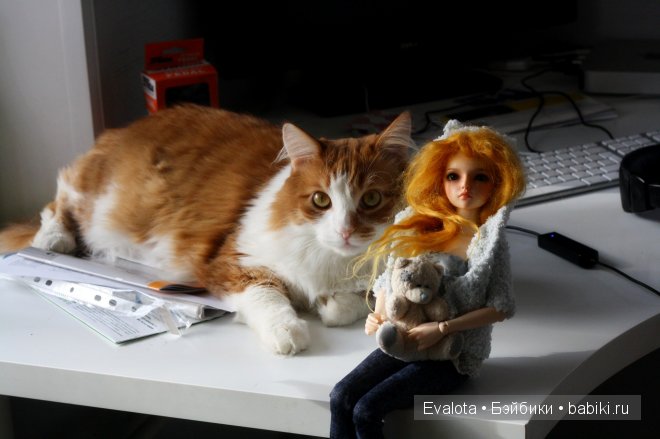 Mirven fairyland и попытка побега (фото 5)