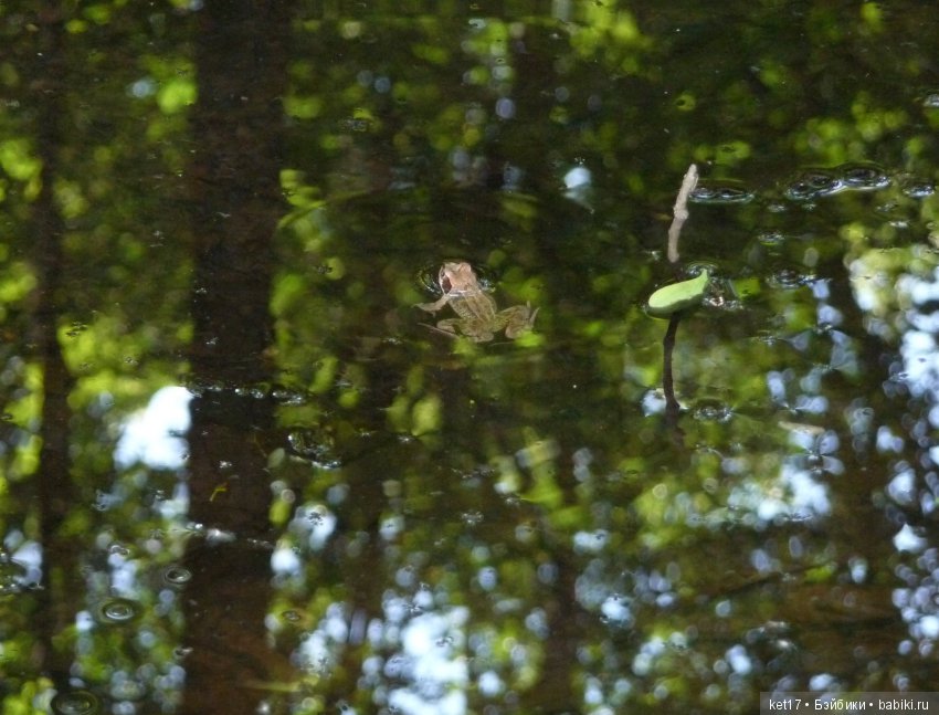 Две девочки — Куклы Kidz'n'Cats (Соня Хартман): шарнирные 46 см