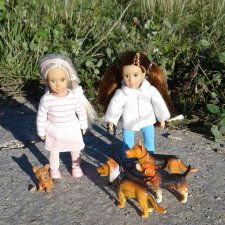 Прогулка с собаками