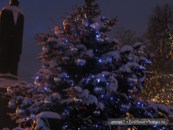 Новогодняя прогулка Элениэль (фото 9)