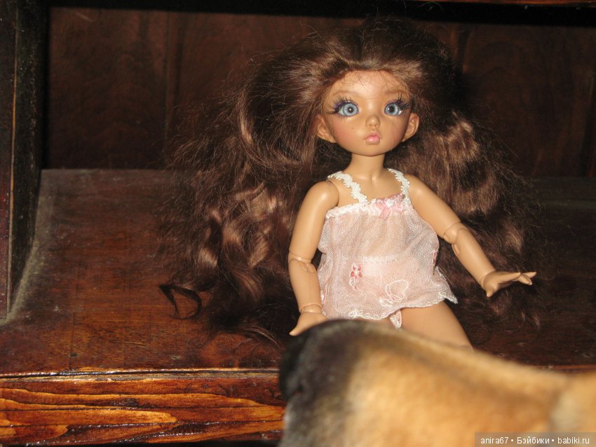 У нас даже не целое животное, а только нос участвовал в съемке. Причем, заметила его на фото я уже когда стала топик писать, поэтому переснять не было возможности. Нос звали Тенди, в топике он выступает по именем Рыжий Волк.