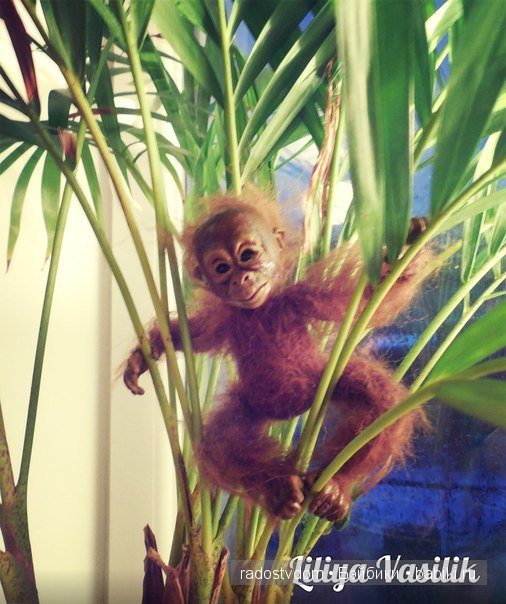 В дебрях джунглей. Игрушка ручной работы (фото 2)