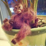 В дебрях джунглей. Игрушка ручной работы