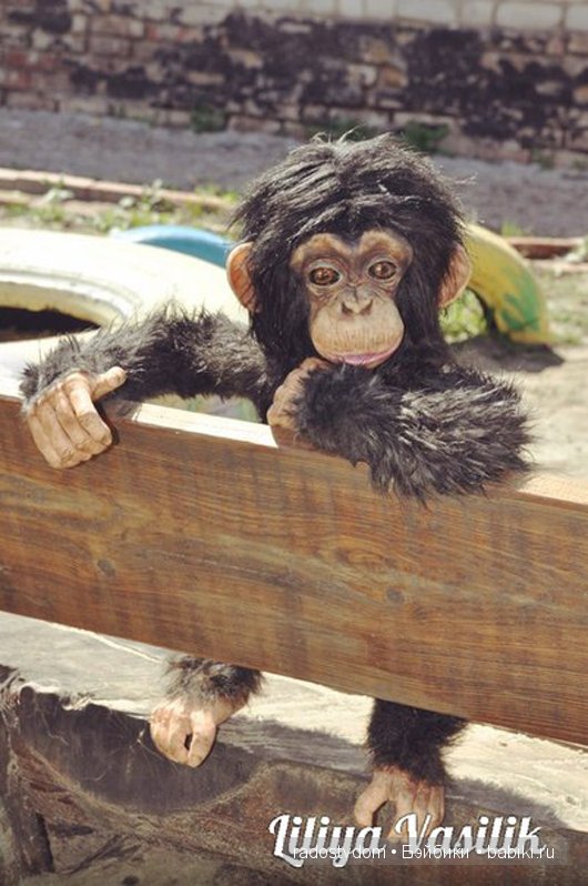Шимпанзе. Авторские игрушки Лилии Василик (фото 2)