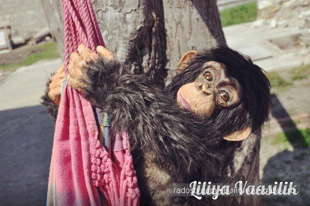 Шимпанзе. Авторские игрушки Лилии Василик (фото 5)