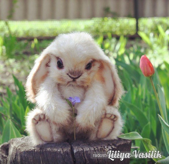 Зая. Авторские игрушки Лилии Василик (фото 5)