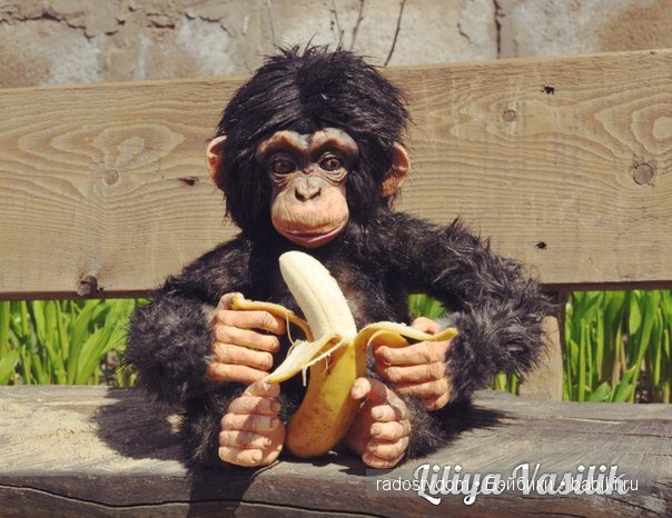 Шимпанзе. Авторские игрушки Лилии Василик (фото 7)