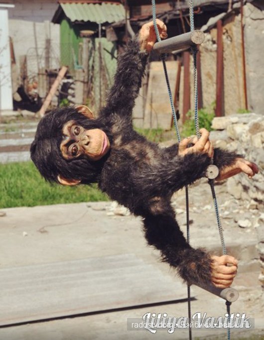 Шимпанзе. Авторские игрушки Лилии Василик