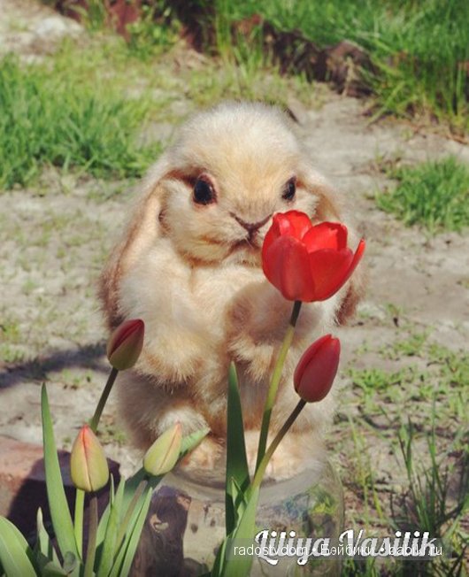 Зая. Авторские игрушки Лилии Василик (фото 2)