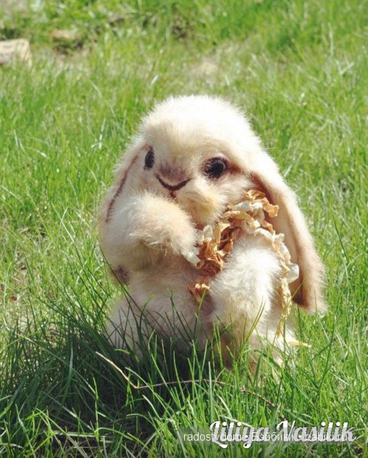 Зая. Авторские игрушки Лилии Василик