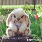 Зая. Авторские игрушки Лилии Василик