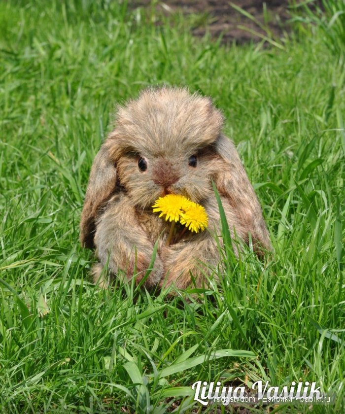 Зая - авторские игрушки Лилии Василик