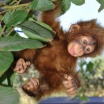 Орангутан Вилли - авторские игрушки Лилии Василик