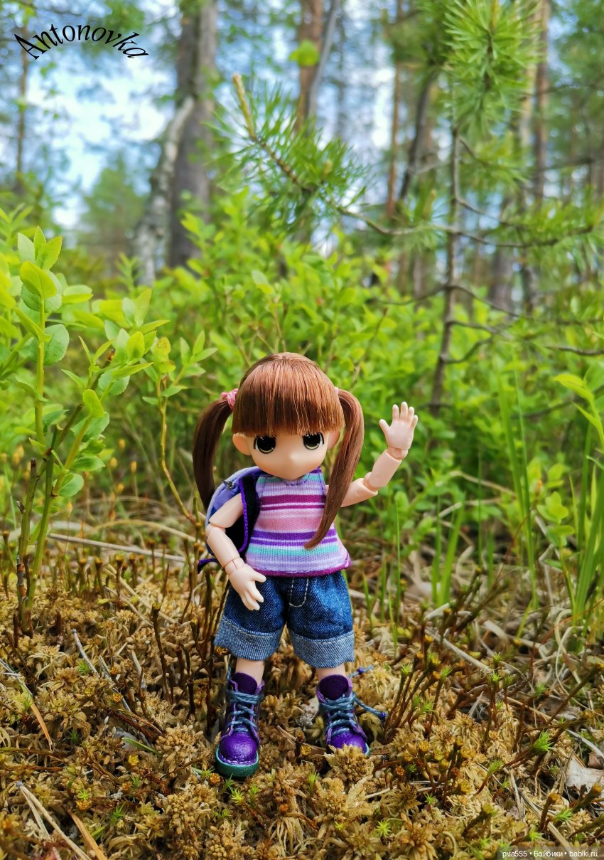 Большое приключение маленькой девочки