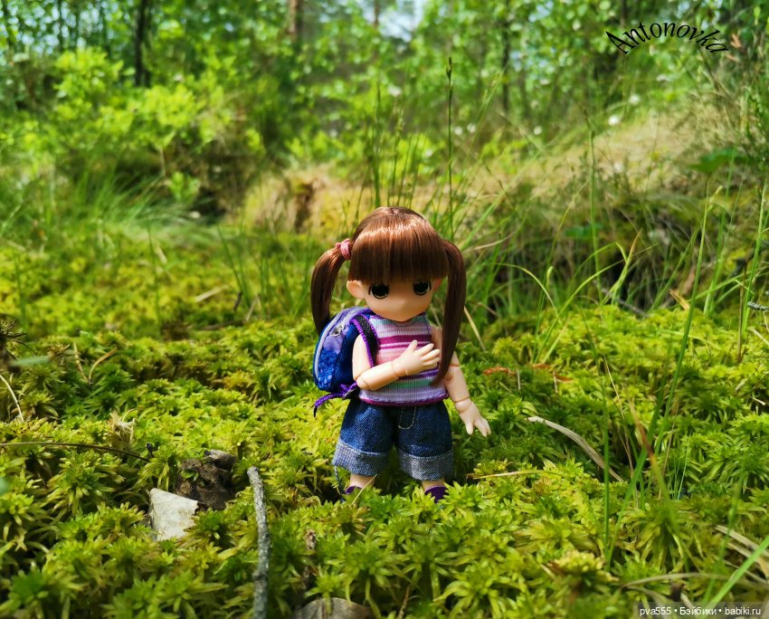 Большое приключение маленькой девочки