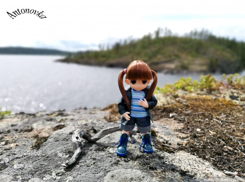 Большое приключение маленькой девочки (фото 2)