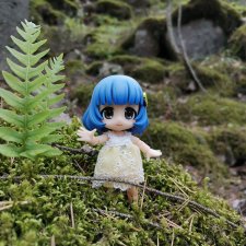 Где-то в тёмном лесу...