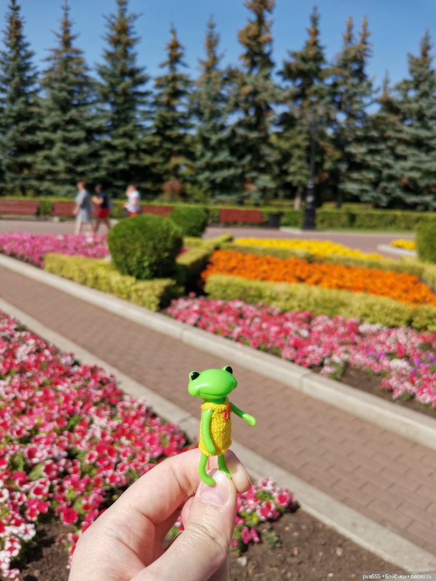 Безымянная Wonder Frog. Первое путешествие крохи