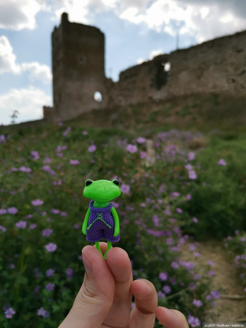 Безымянная Wonder Frog. Первое путешествие крохи (фото 6)