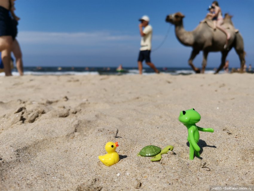 Безымянная Wonder Frog. Первое путешествие крохи (фото 4)