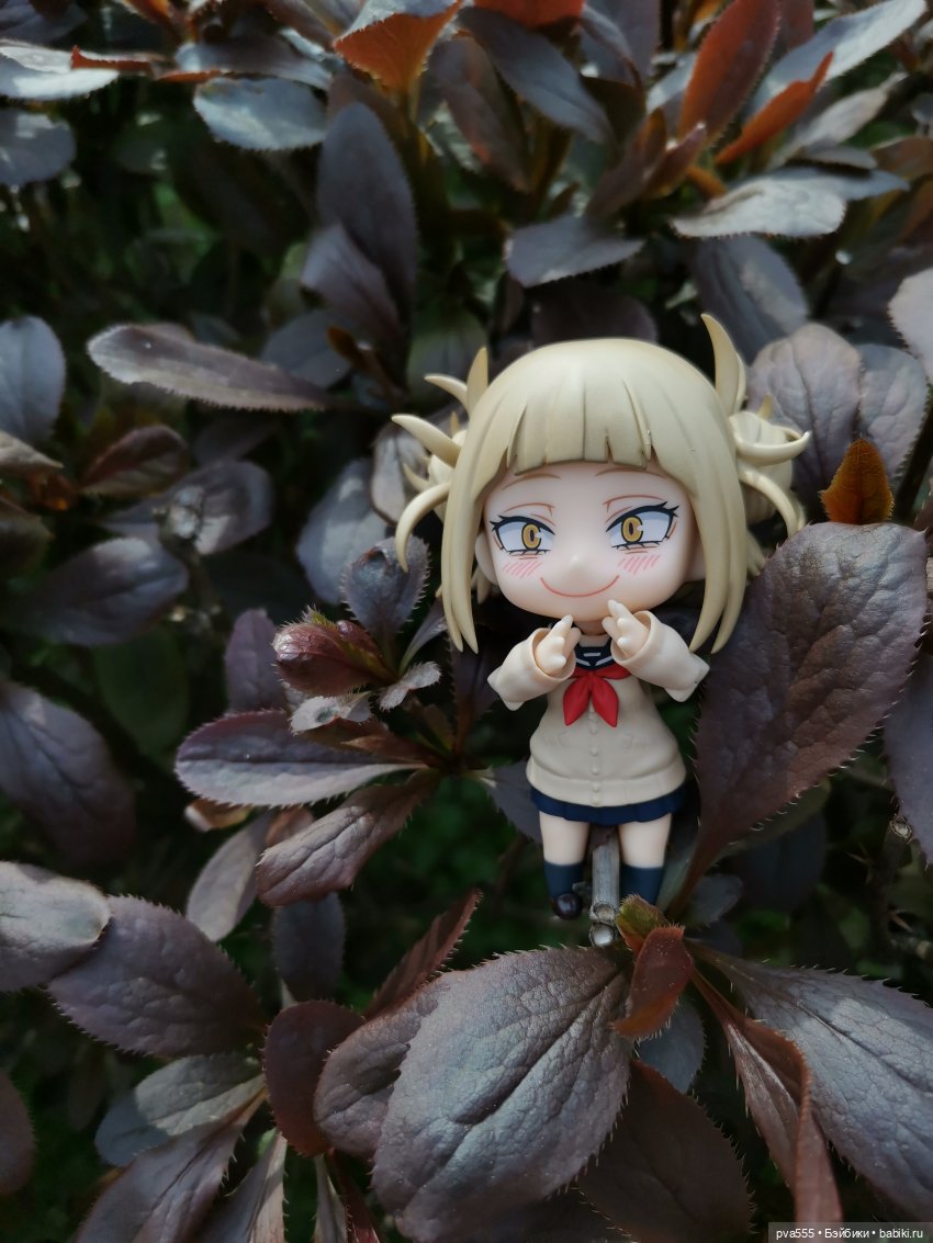 Тора... Вперёд навстречу приключениям