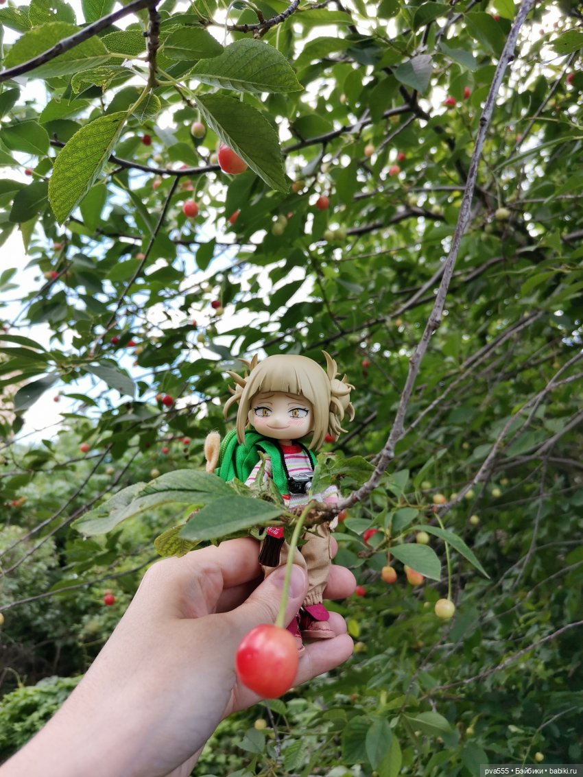 Тора... Вперёд навстречу приключениям (фото 3)