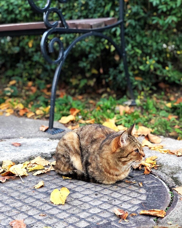 YOSD от DollZone. Jamie. Смена пола (фото 6)